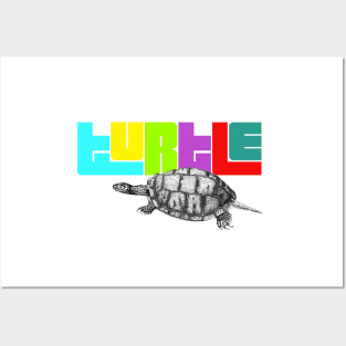 Retro Vintage Turtle Posters and Art